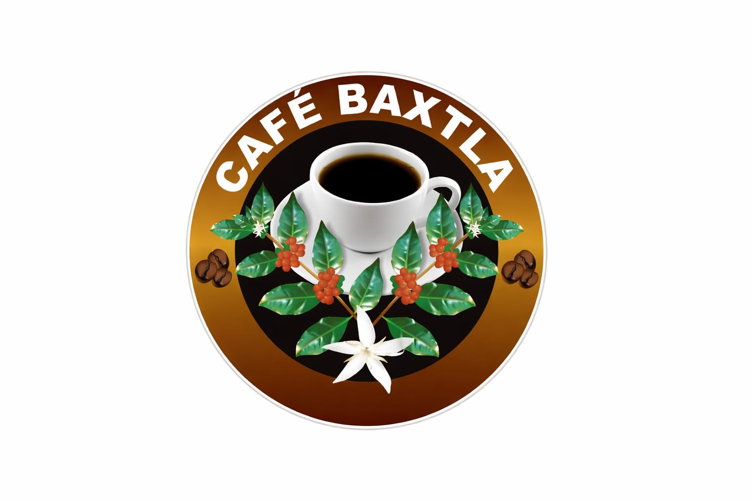 Logo Oficial
